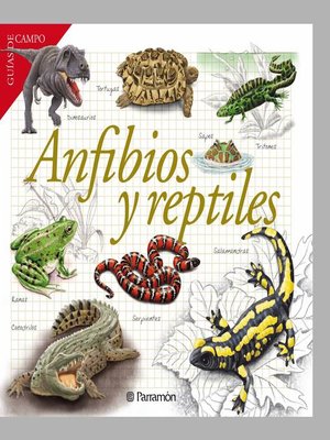 cover image of Anfibios y reptiles